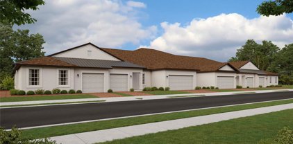 16860 Forge Surf Street, Land O' Lakes