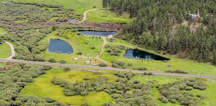 373 Greer Meadows lakes, Greer
