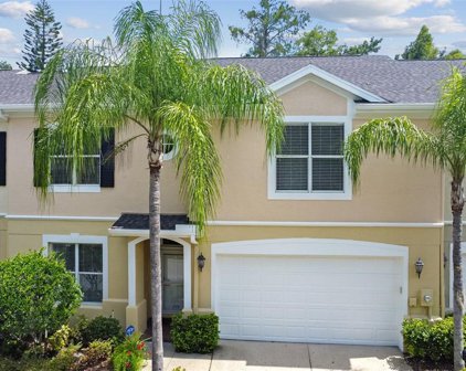 3519 Heards Ferry Drive, Tampa