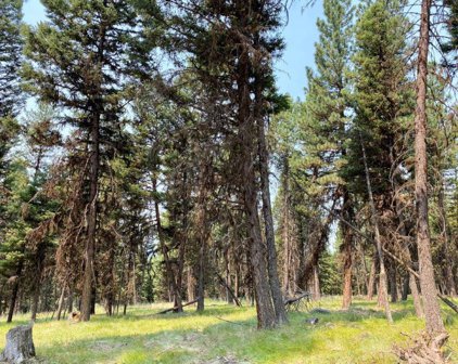 159 Telemark Way, Seeley Lake