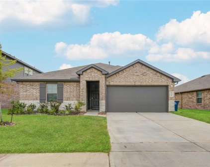 2318 Rainier Mist Road, Spring