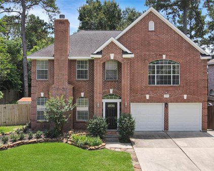 13503 Spring Court, Tomball