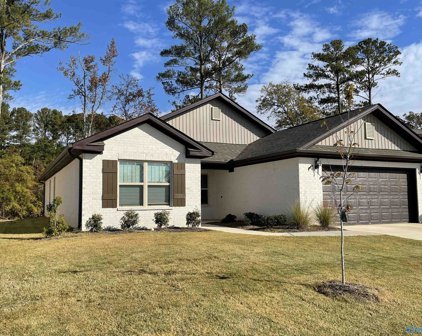 129 Waltrip Drive, Owens Cross Roads