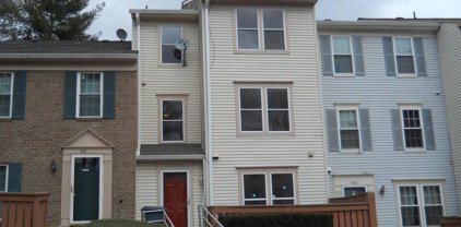 4129 Peppertree Ln Unit #4129, Silver Spring