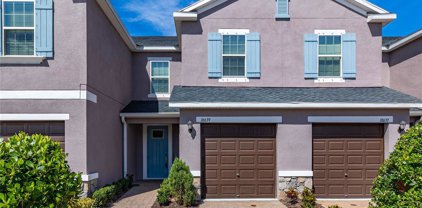 18639 Noble Caspian Drive, Lutz
