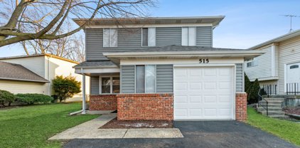 515 Old Stone Road, Bolingbrook