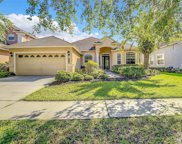 20419 Walnut Grove Lane, Tampa image