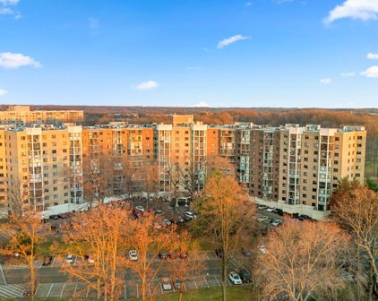 15107 Interlachen Dr Unit #2-820, Silver Spring