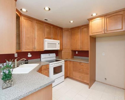 376 Ferrara Way, Vista