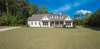 286 Golden Cloud Court, Williamson