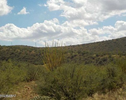 1563 Camino Bacalao, Rio Rico