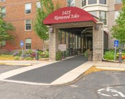 1425 W 28th Street Unit #411, Minneapolis image