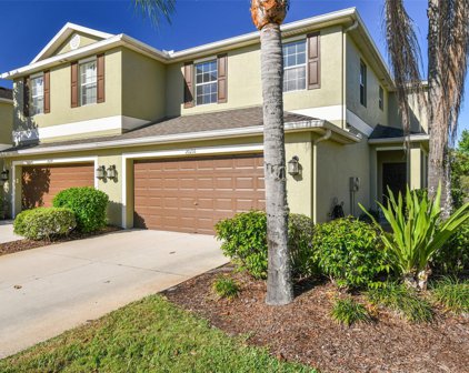 20216 Water Hickory Place, Tampa