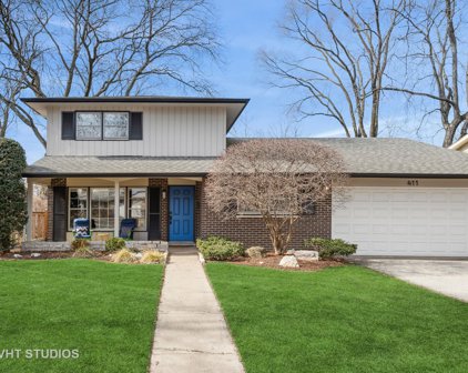411 Sandy Lane, Wilmette