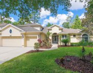 5115 Dunham Creek Place, Brandon image