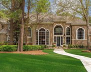 46 Heritage Hill Circle, The Woodlands image