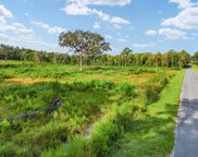 Nw 193rd St, Micanopy image