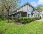 18117 Paradise Point Drive, Tampa image