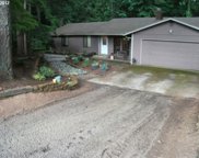 13309 NE 195TH AVE, Brush Prairie image