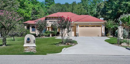 15516 Queen Elizabeth Court, Montgomery