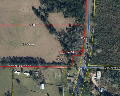 13 +/- Ac State Hwy 81, Ponce De Leon