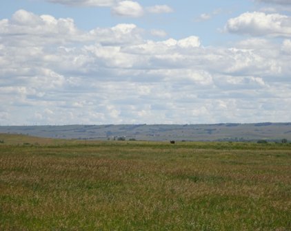 1 Spaniel Road, Mandan