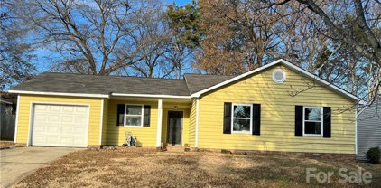 10731 Copper Field  Drive, Pineville