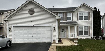 239 Tammanny Lane, Romeoville