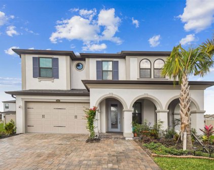 28611 Bel Verde Court, Wesley Chapel
