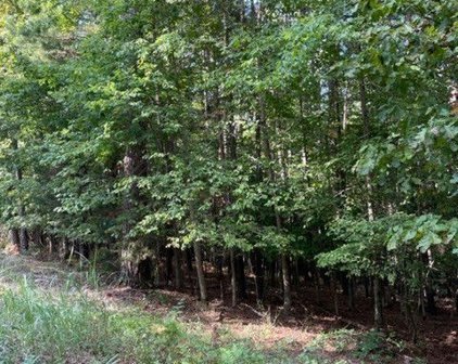 Lot 959 Spruce  Drive, Rogers