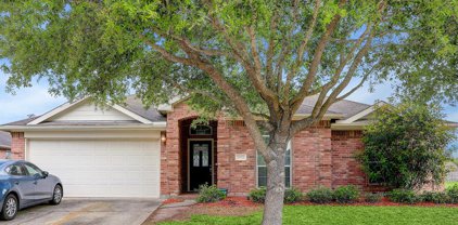 3902 Glenoak Drive, Pearland