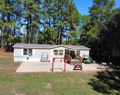 541 CR 2475, Mineola