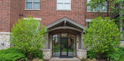 267 E Railroad Avenue Unit #102, Bartlett