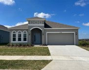 334 Bottle Brush Drive, Haines City image