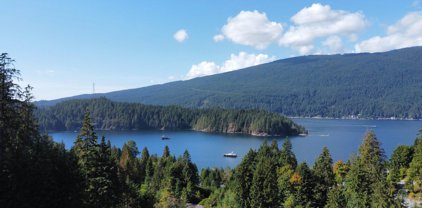3249 Main Avenue, Port Moody