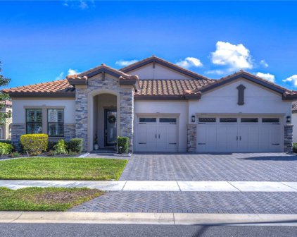 6708 Sunset Vista Way, Land O' Lakes