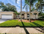 723 Waterview Lane, Tarpon Springs image