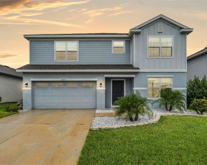 30935 Parrot Reef Court, Wesley Chapel