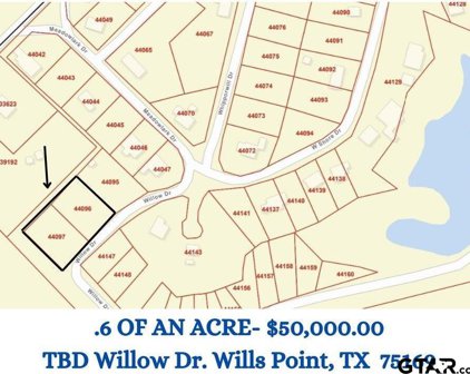 TBD Willow Drive, Wills Point