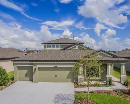 7292 Notched Pine Bend, Wesley Chapel