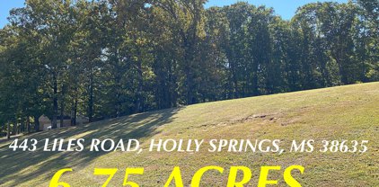 443 Liles Road, Holly Springs