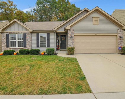 107 San Marino Pkwy, Fenton