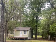 4589 Prices Bridge Lane, Walterboro image