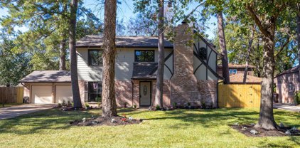 1211 Burnwood Lane, Houston