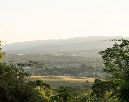 Old Mountain  Rd, Roanoke