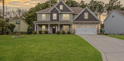 421 Canvasback Lane, Sneads Ferry