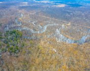 V/L 42nd Avenue, Paw Paw image