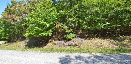136 Lower Snowbird Trail, Beech Mountain