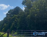 14.86acres Love Branch Road, Harvest image