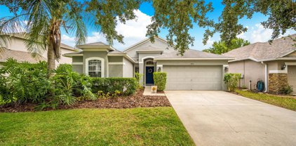 7054 Moss Ledge Run, Land O' Lakes